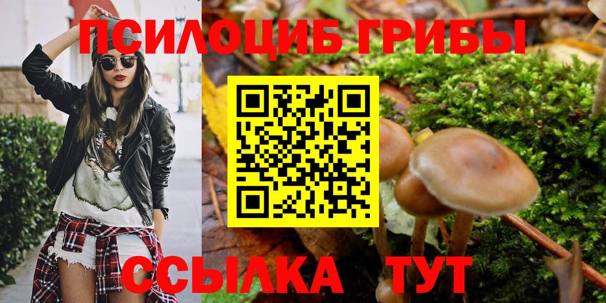 Псилоцибиновые грибы прущие грибы Кировск