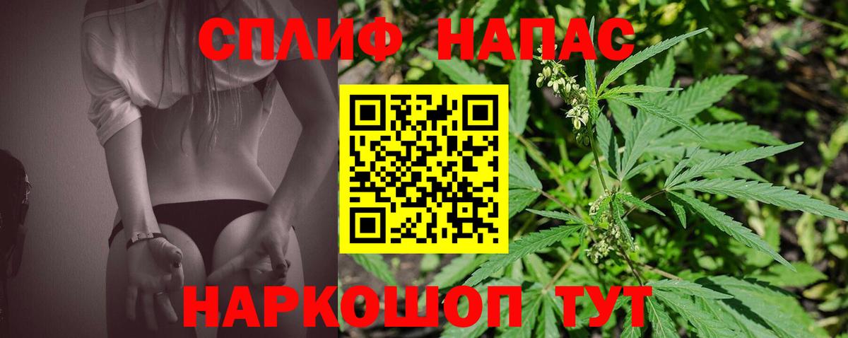 Каннабис сатива Кировск